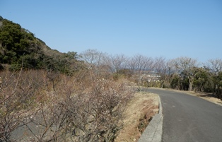 生石公園9.jpg